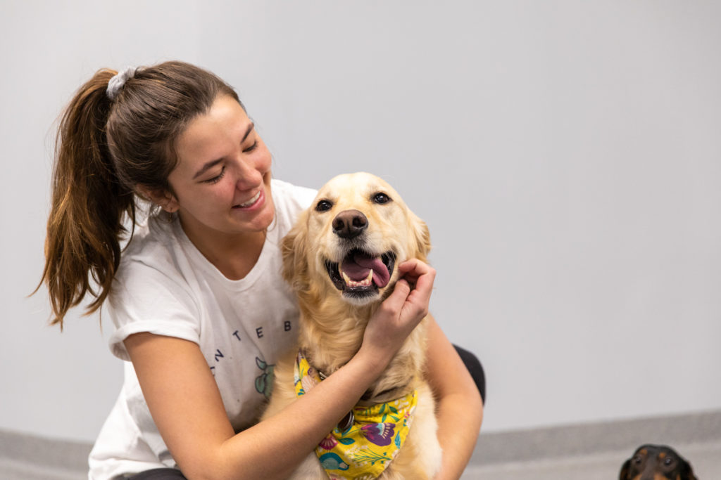 Dog Daycare in Prairie Village We Treat Dogs Like Family On The Ball